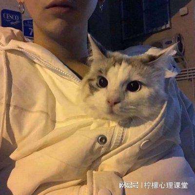 废土大存亡手游下载